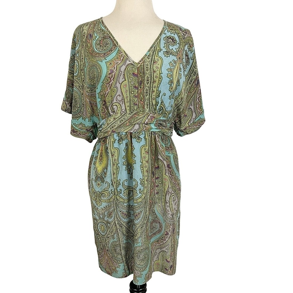 PLENTY TRACY REESE Silk Paisley DRESS 4 Boho Dolman Party Artsy Party Chic